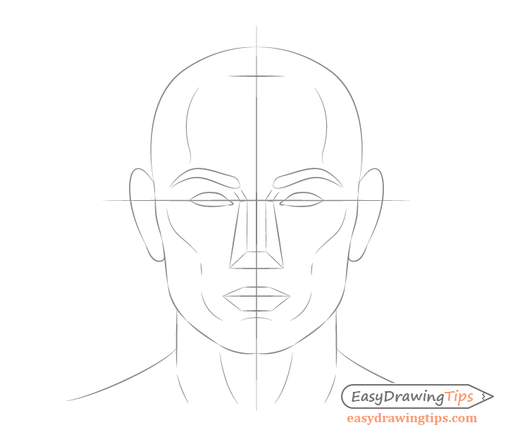 Face shape drawing
